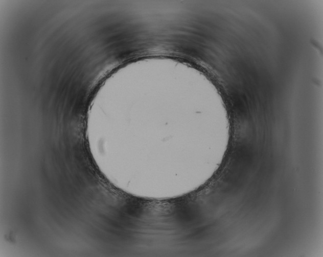 X0000091181314200709060946