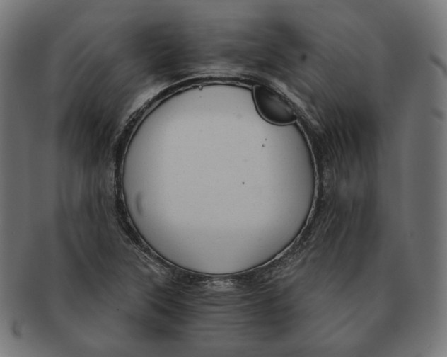X0000091181315200709060946