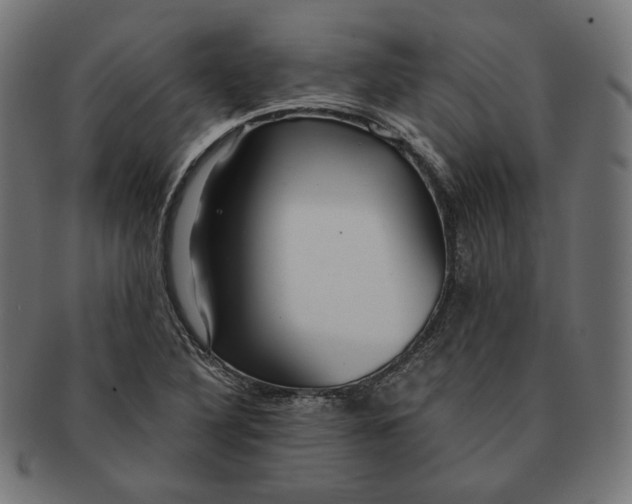 X0000091181316200709060946