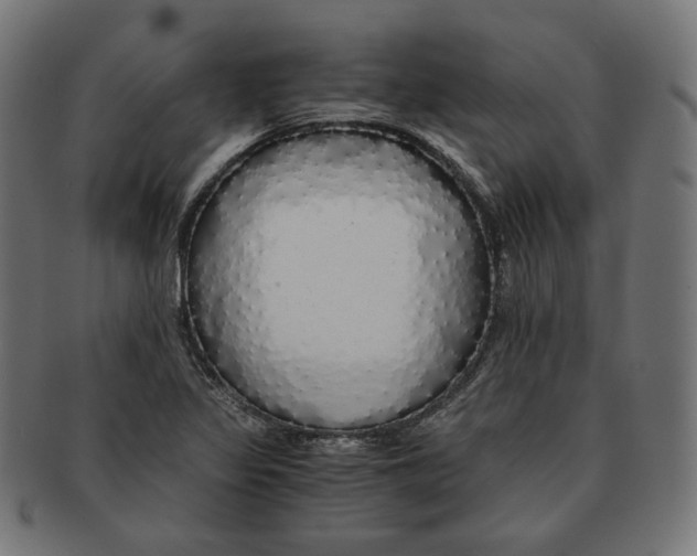X0000091181317200709060946