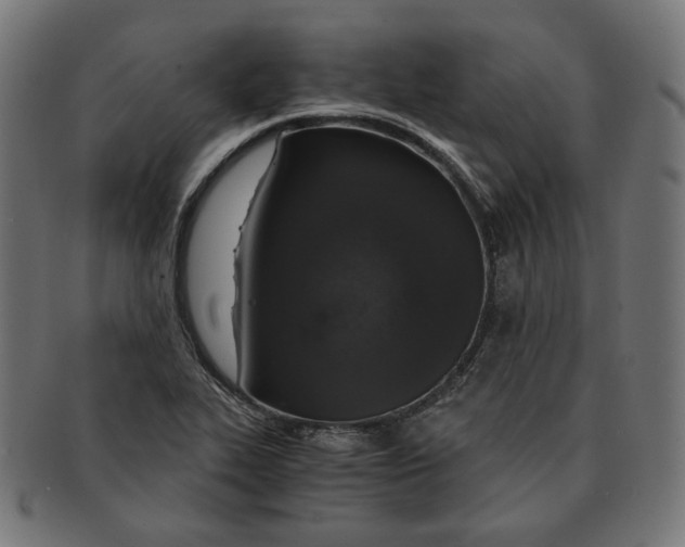 X0000091181319200709060946