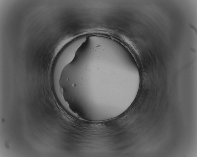 X0000091181320200709060946