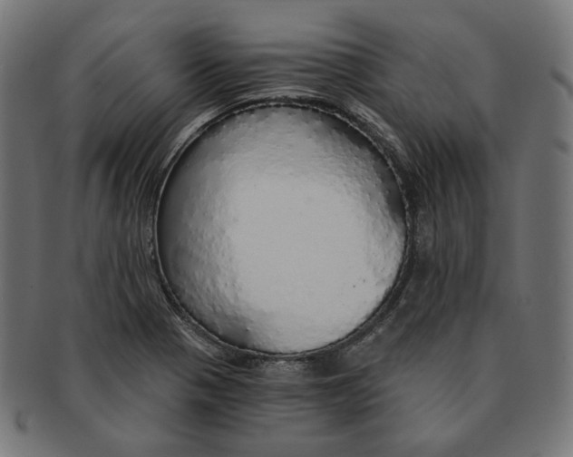 X0000091181321200709060946