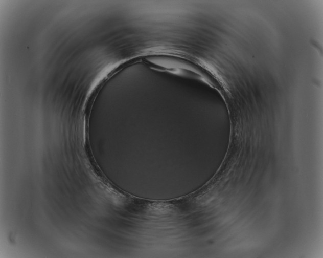 X0000091181323200709060946