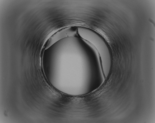 X0000091181324200709060946