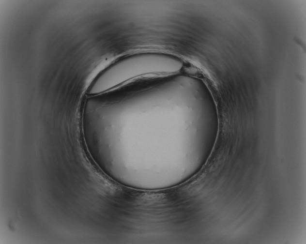 X0000091181325200709060946