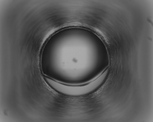 X0000091181326200709060946