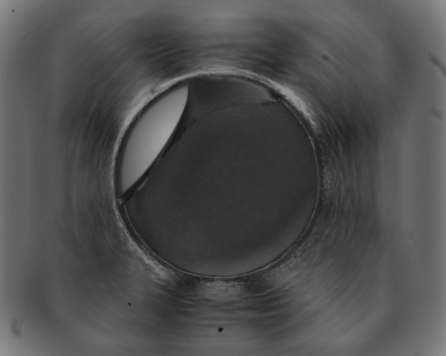 X0000091181327200709060946