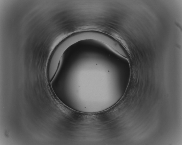 X0000091181328200709060946