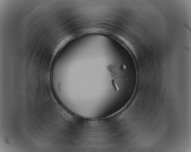X0000091181330200709060946