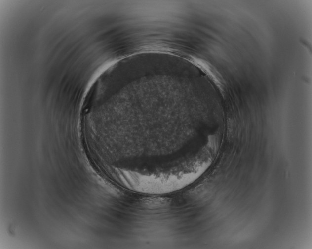 X0000091181331200709060946