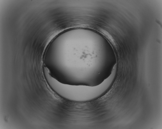 X0000091181332200709060946