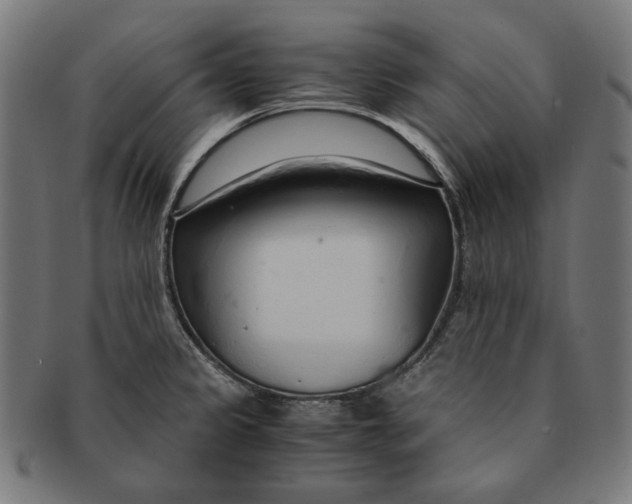 X0000091181333200709060946