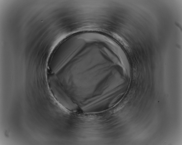 X0000091181334200709060946