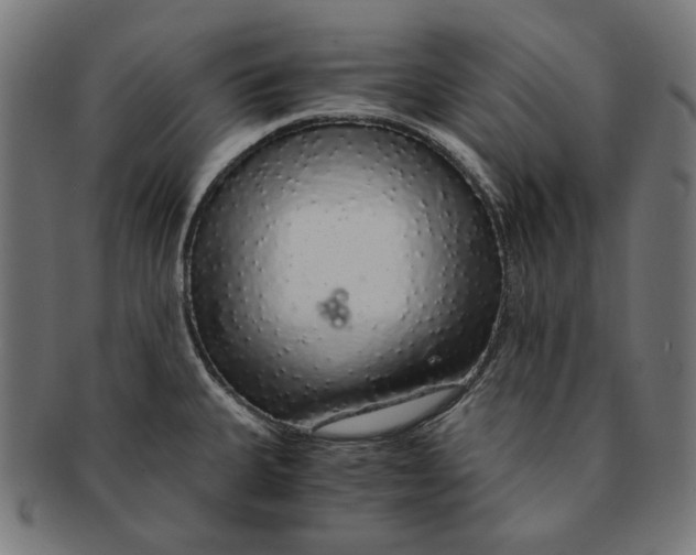 X0000091181335200709060946