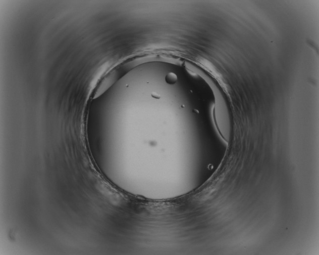 X0000091181336200709060946