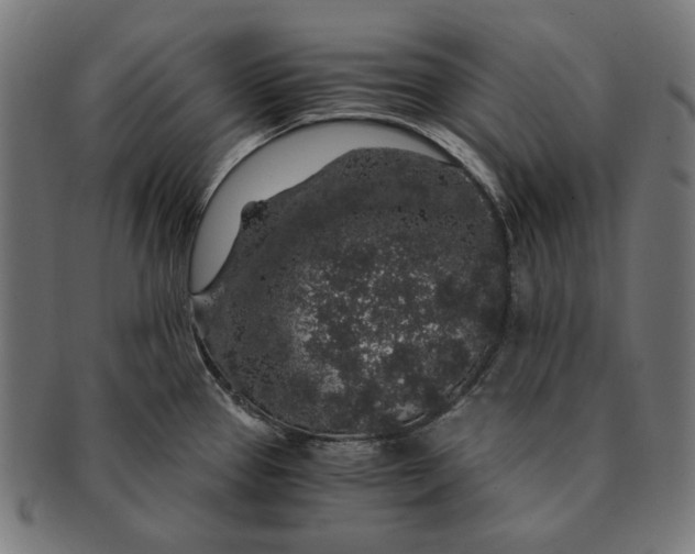 X0000091181337200709060946