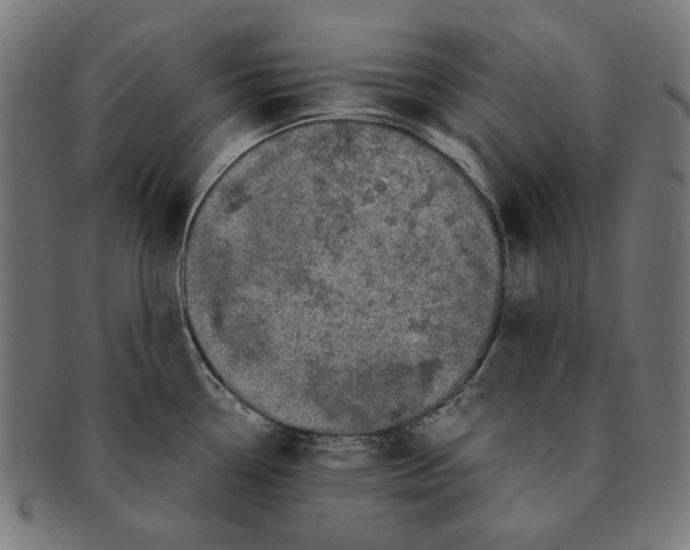 X0000091181338200709060946