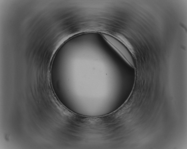 X0000091181340200709060946