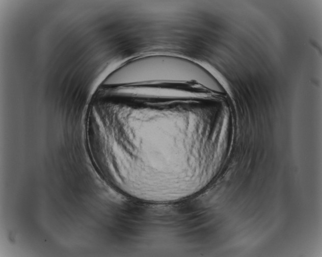 X0000091181341200709060946