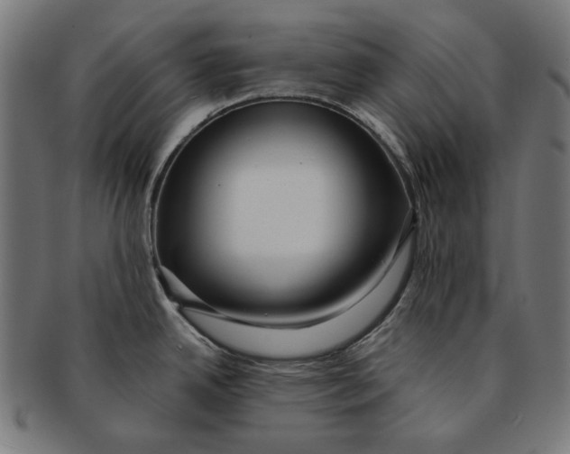 X0000091181342200709060946