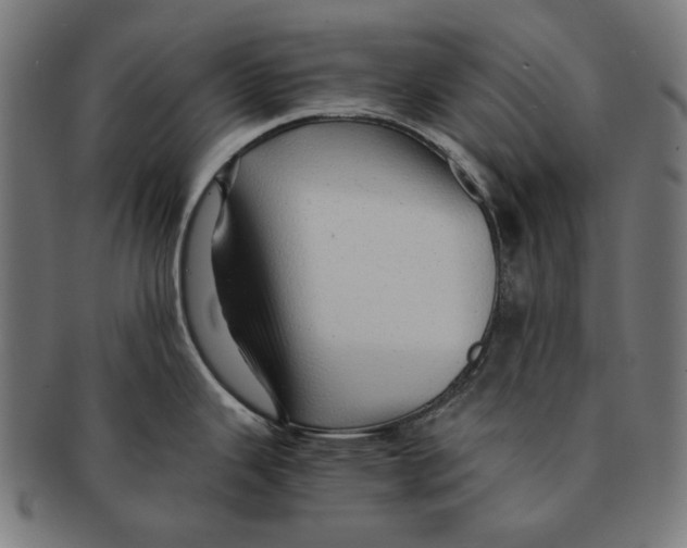 X0000091181343200709060946