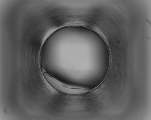 X0000091181344200709060946