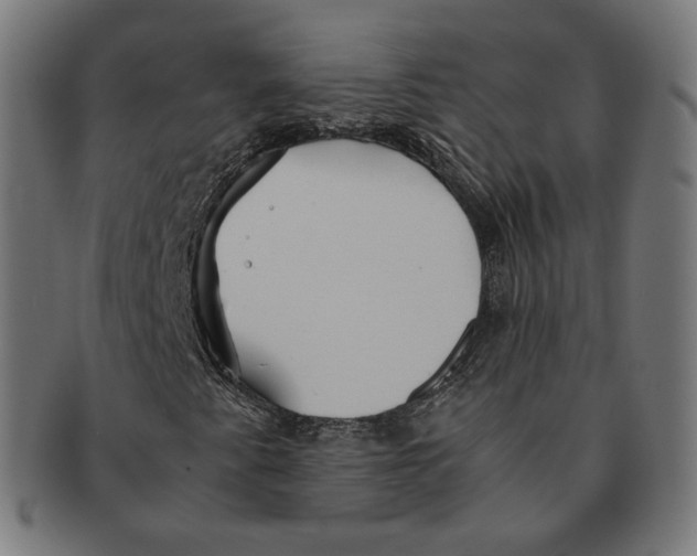 X0000091181345200709060946