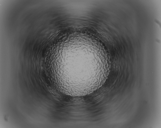 X0000091181346200709060946