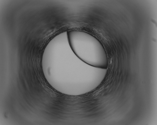X0000091181348200709060946