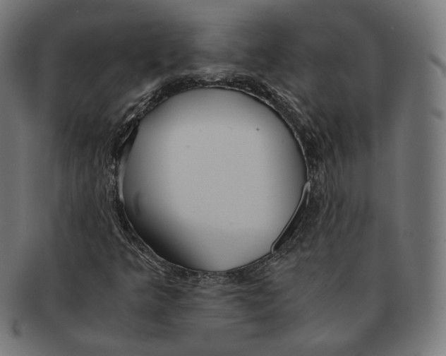 X0000091181349200709060946