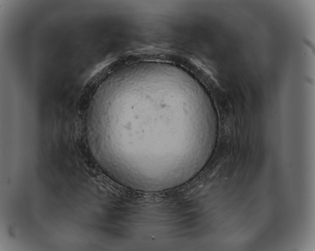 X0000091181350200709060946