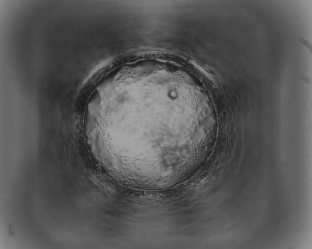 X0000091181351200709060946