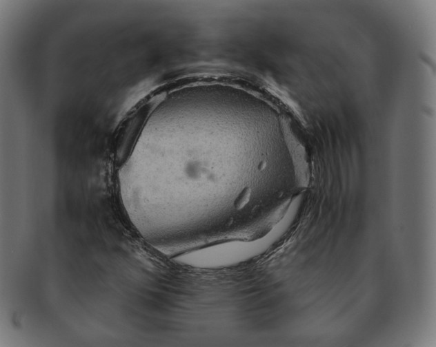X0000091181352200709060946