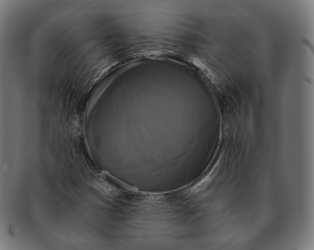X0000091181353200709060946