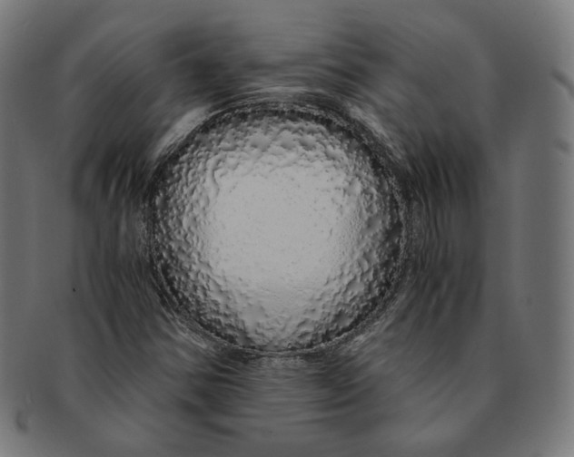 X0000091181354200709060946