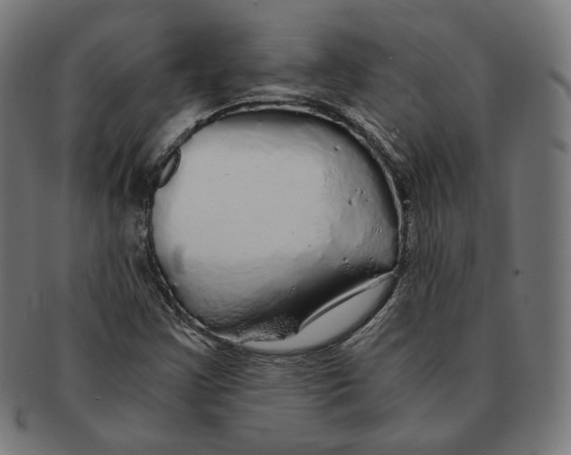 X0000091181355200709060946