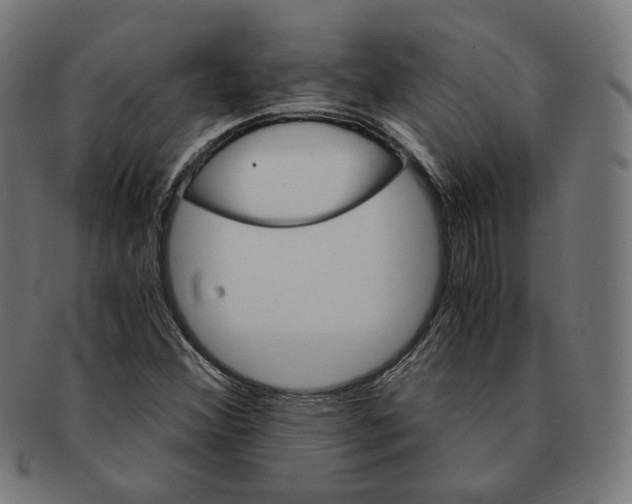 X0000091181356200709060946