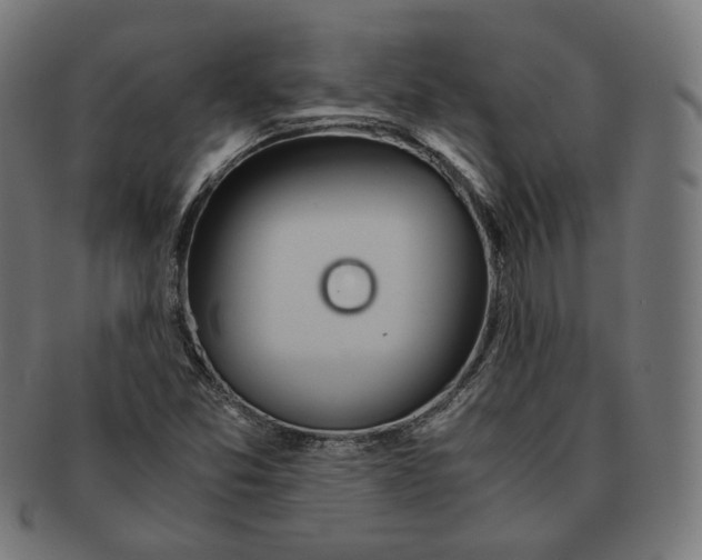 X0000091181357200709060946