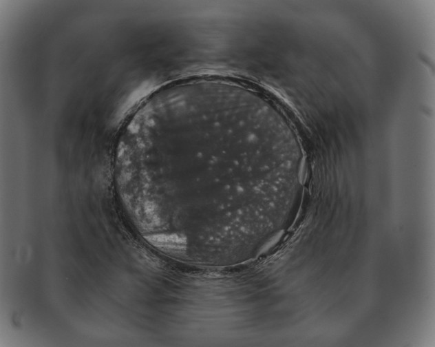 X0000091181359200709060946