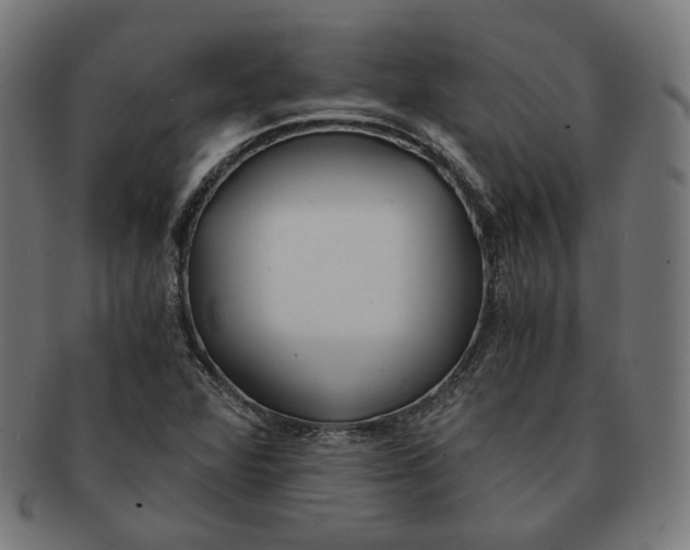 X0000091181360200709060946