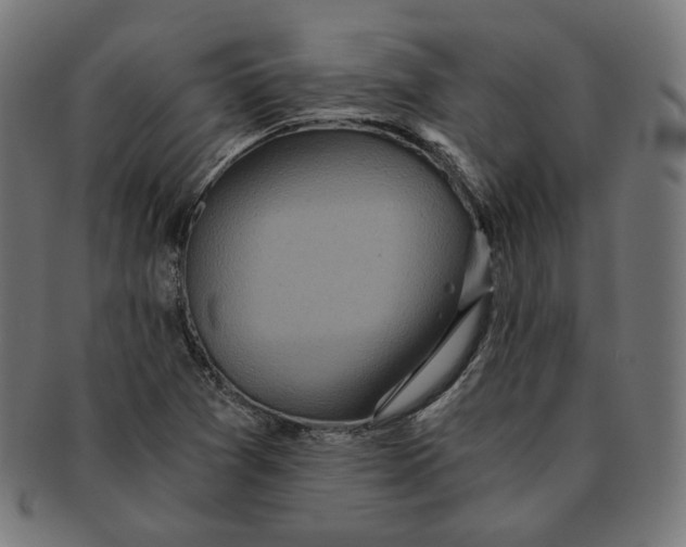 X0000091181361200709060946