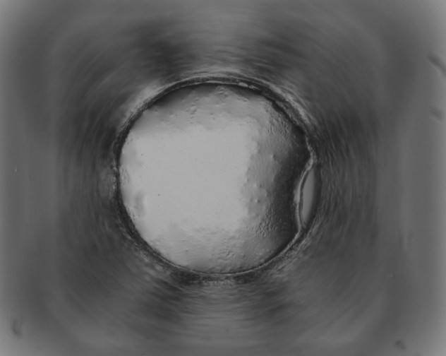X0000091181363200709060946