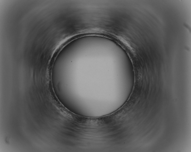 X0000091181364200709060946