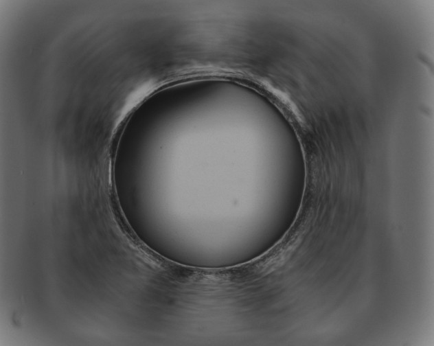 X0000091181365200709060946