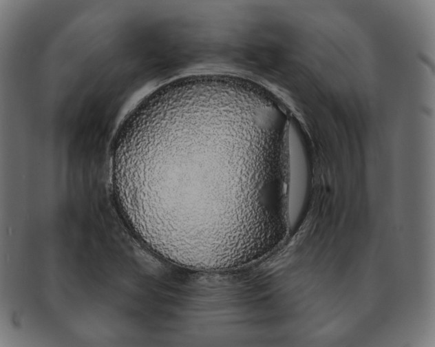 X0000091181366200709060946