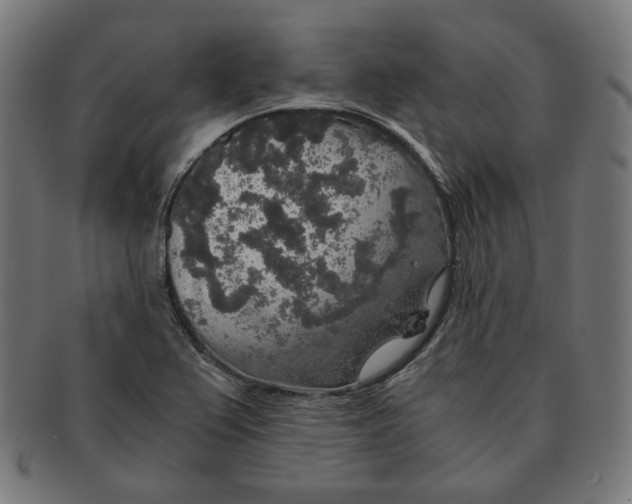 X0000091181367200709060946