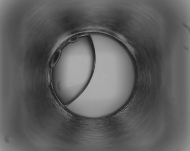 X0000091181368200709060946