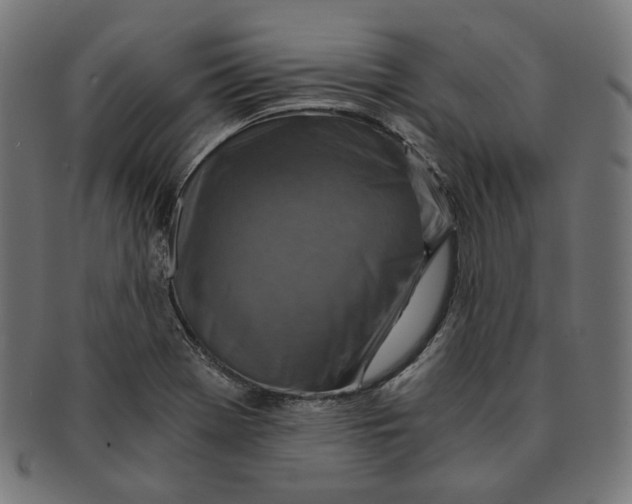 X0000091181369200709060946