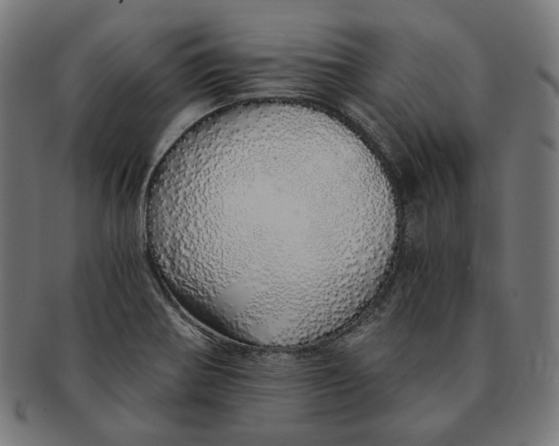 X0000091181370200709060946